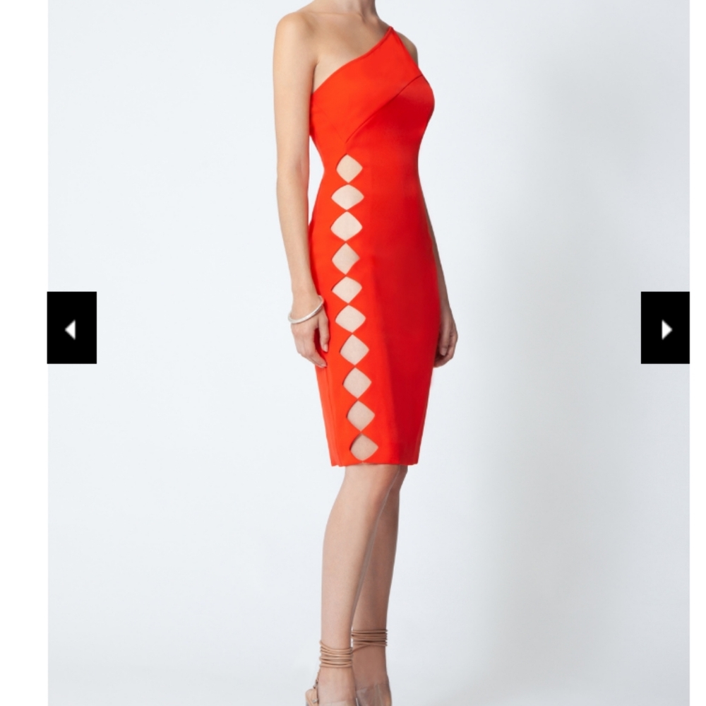 AQ/AQ Emilia Dress